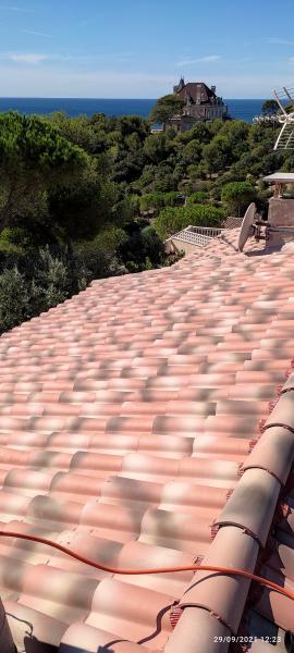 Couvreur changeant des tuiles endommagées pour protéger la maison
